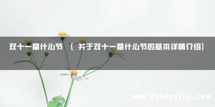 双十一是什么节 (关于双十一是什么节的基本详情介绍)